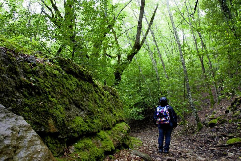 Ferula Romantica Mansarda Tra Fiumi E Montagne Sardegna Seulo Bagian luar foto