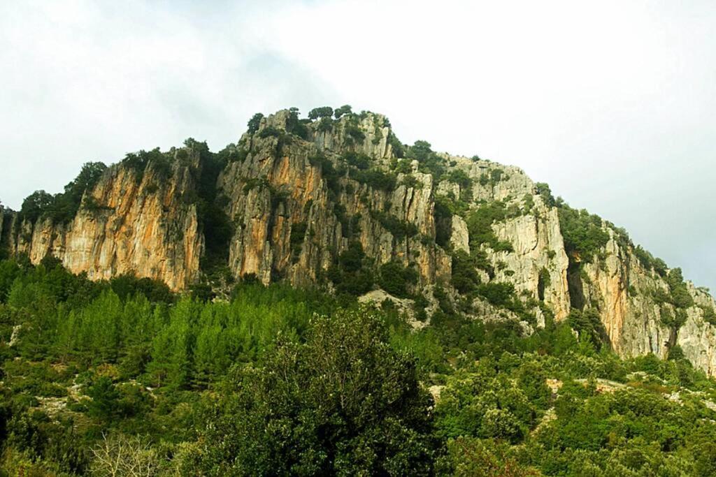 Ferula Romantica Mansarda Tra Fiumi E Montagne Sardegna Seulo Bagian luar foto