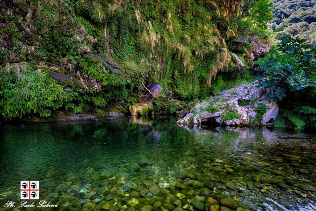Ferula Romantica Mansarda Tra Fiumi E Montagne Sardegna Seulo Bagian luar foto