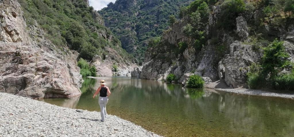 Ferula Romantica Mansarda Tra Fiumi E Montagne Sardegna Seulo Bagian luar foto